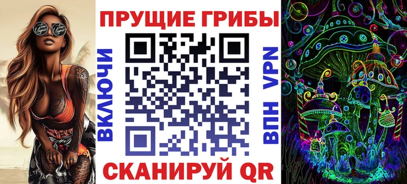 Купить закладки Грязовец Галлюциногенные грибы мицелий