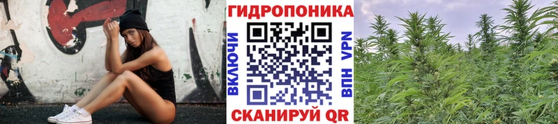 Конопля OG Kush Купить Грязовец